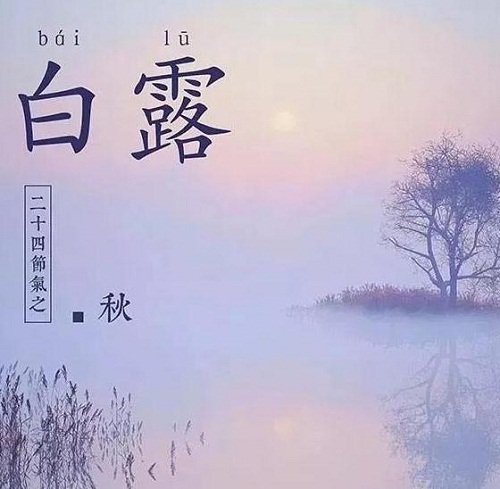 eman安卓版