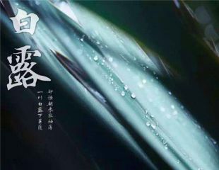 环球360app