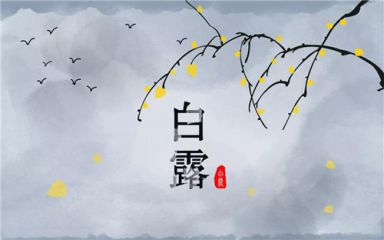 7321app安卓版二维码