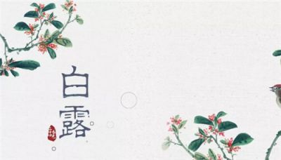 灵魂筹码秘宝寻踪2025版新角色考古学者与画皮