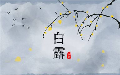 火炬之光2浩方联机补丁(DPSocket.dll)