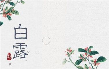 3377体育app