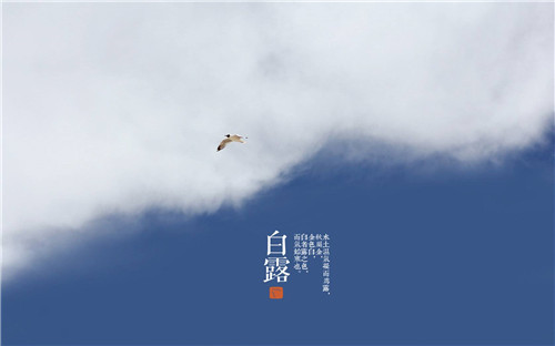 快手极速版