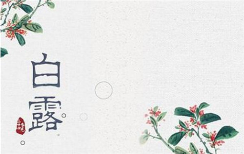 小熊洗车APP