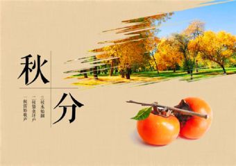 音频cd刻录机
