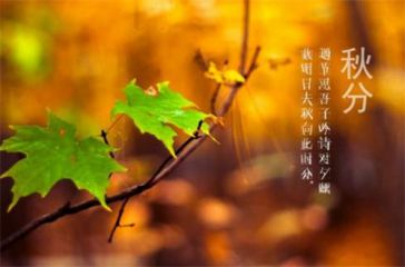 贵州药材APP