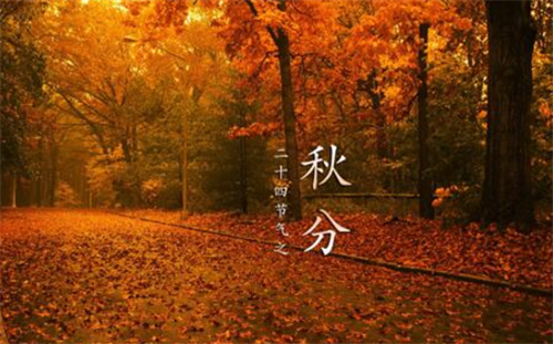Ag广东会贵宾厅appV7.5专业版