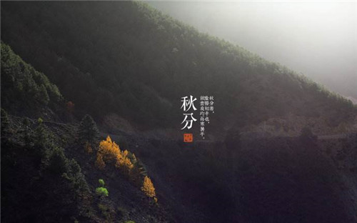 威斯尼斯wns8888入口V1.4专业版