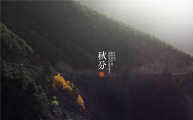 kaiyun体育app注册登录