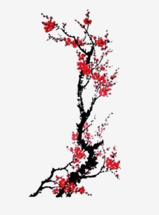 贵州药材APP