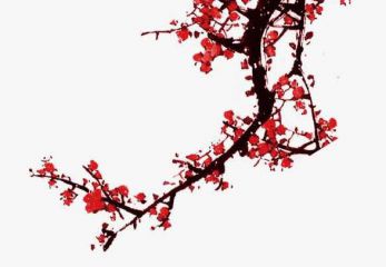 无双大蛇z电脑版修改器