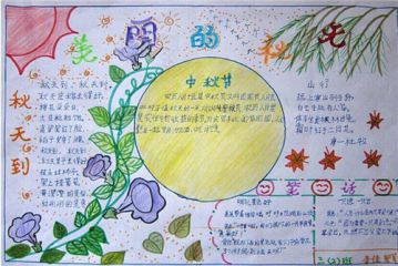 鱼泡网