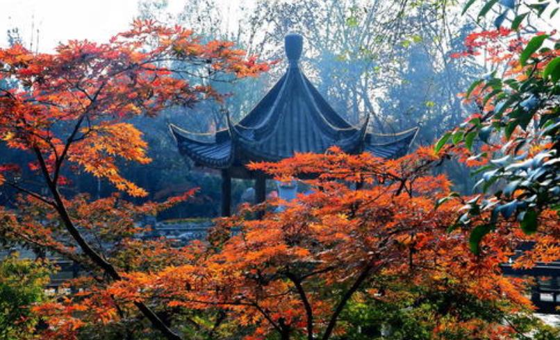 外围网站推荐2025最新版龙语者职业展示