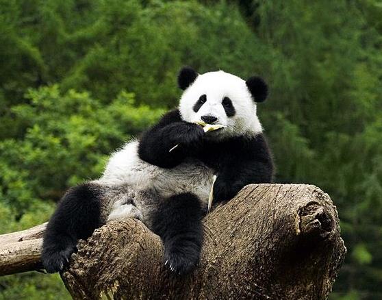 威尼斯休闲乐娱人城AⅤ网页版安卓版二维码