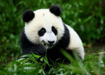 河南汽车维修平台APP