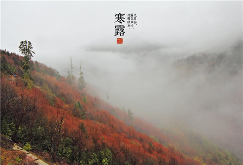 库博体育app2025最新版宏伟主城场景