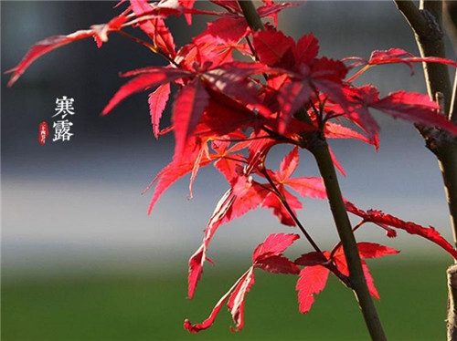 河南汽车维修平台APP