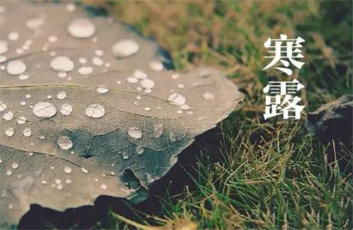 饿了么