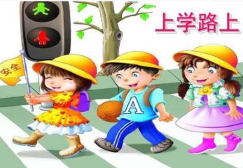 完美真人appV4.7专业版