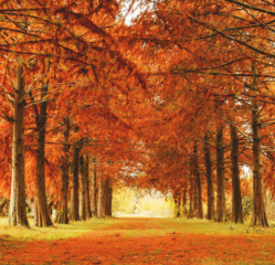 涵丹快站(生活服务)