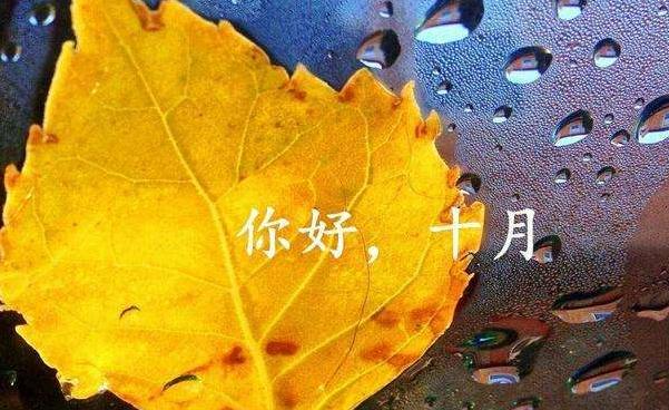 河南汽车维修平台APP