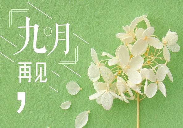 河南汽车维修平台APP