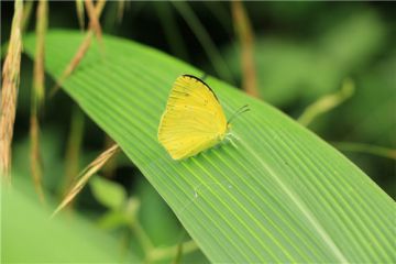 bt5修改软件(附bt5修改教程)