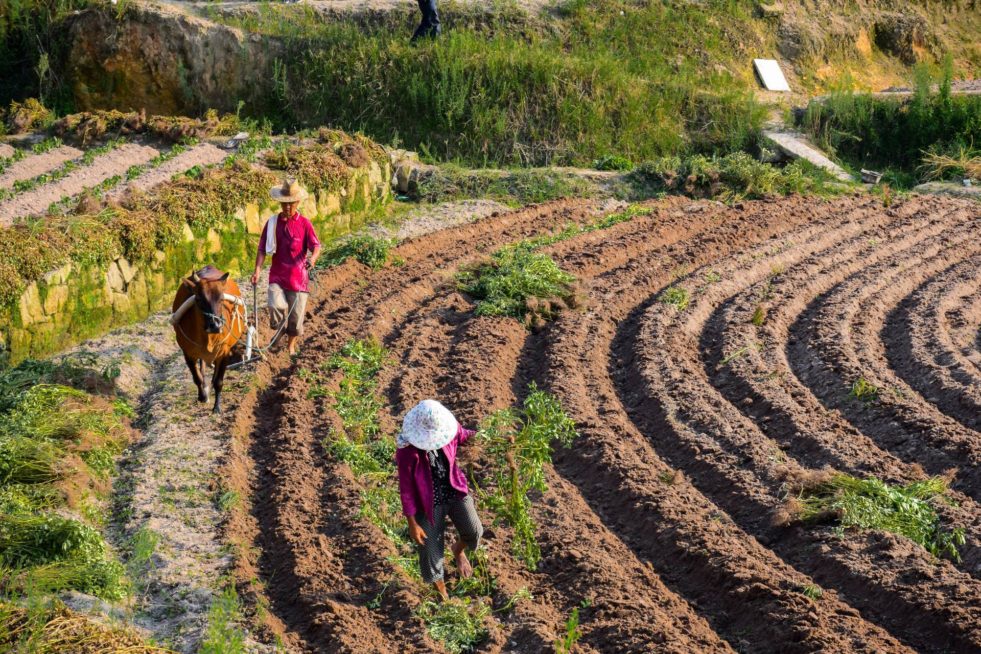 云开体育app最新下载V2.1专业版