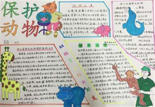 eman安卓版