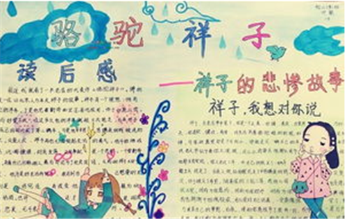 开云官方app下载苹果版V2.4专业版