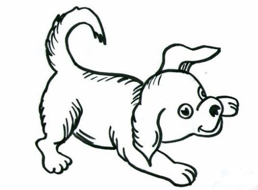 贵州药材APP