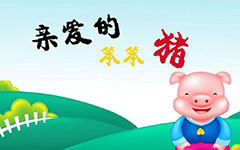 太阳集成appV3.7专业版
