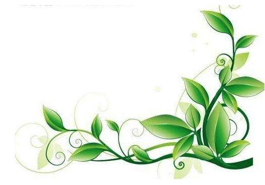 云开体育app最新下载官网