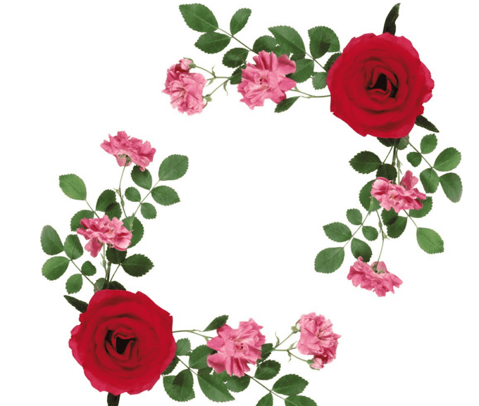 kaiyun.cn官网网页版