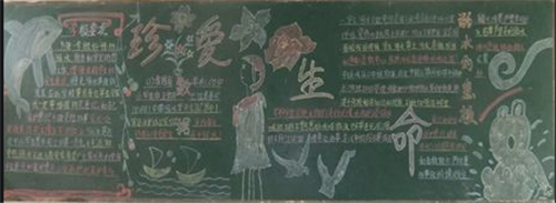 爱博滚球入口V5.1专业版