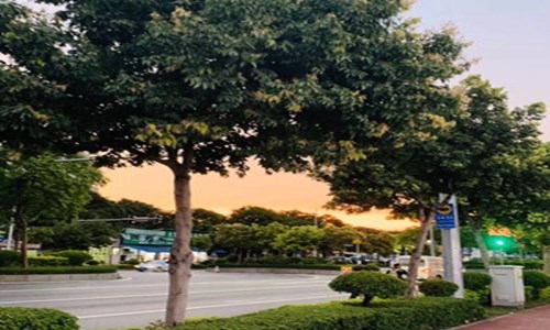 超级兔子硬件检测