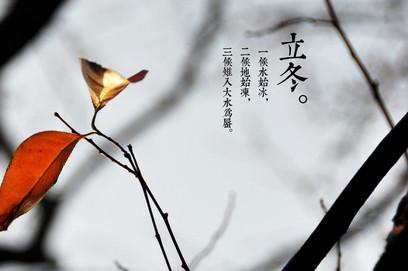 ODappV2.5专业版