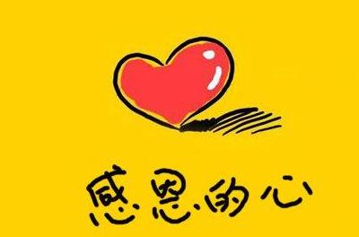 插槽appV6.3专业版