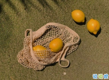 kaiyun888appV4.9专业版