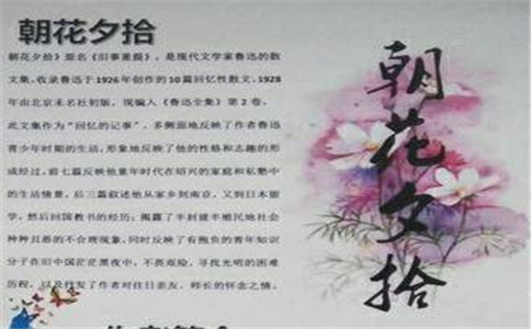 贵州药材APP