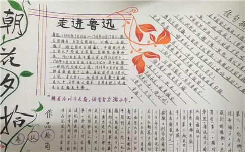 小金体育appV7.8专业版