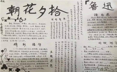 乐鱼大巴黎V8.5专业版