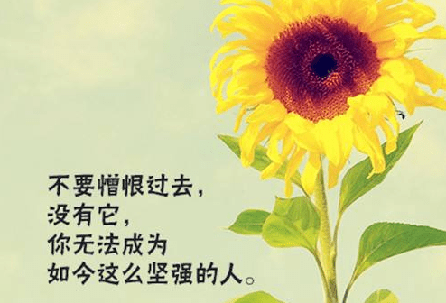 太阳官方网站app安卓版二维码