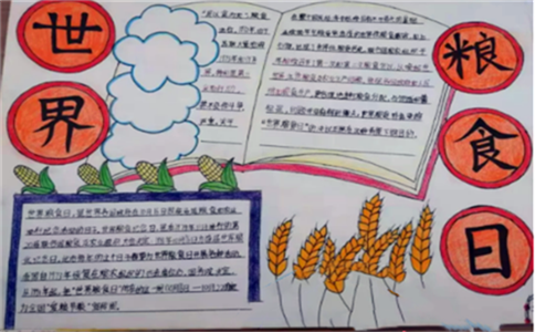 eman安卓版