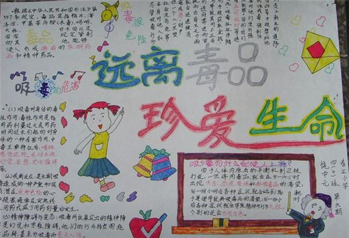会说话的宠物兔子