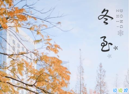 乐鱼官网进入V5.3专业版