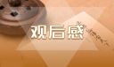 天天盈球比分V8.5专业版