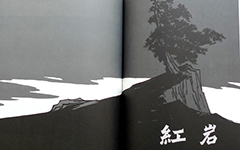 eman安卓版