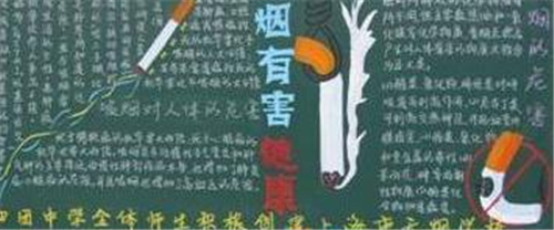 四季休闲娱乐下载 2025最新版 车内驾驶视角