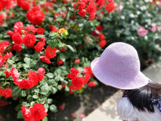 FB体育app家园建造与生活技艺界面